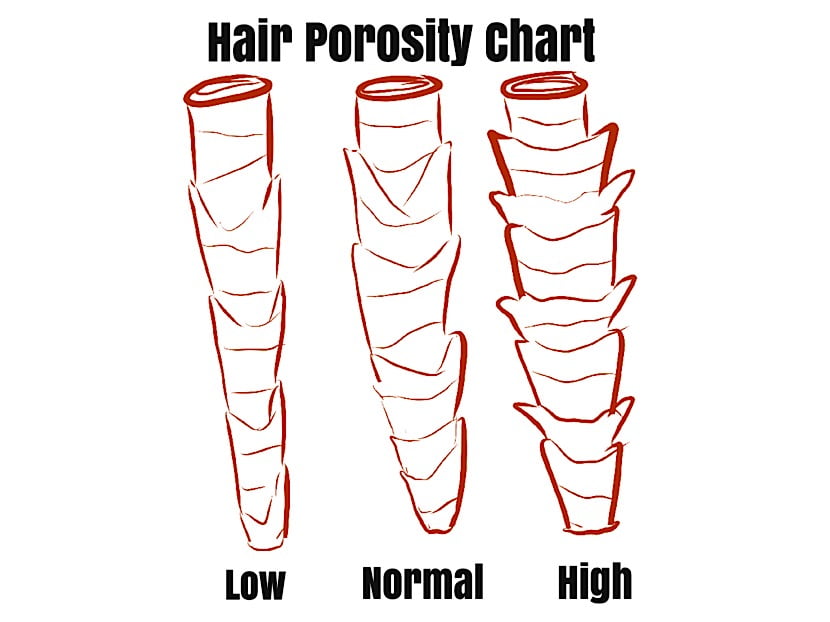 hair porosity chart